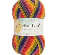 West Yorkshire Spinners Colourlab DK Yarn Available in a range of impactful colours. This is shade 891 in a shade’s the rainbow