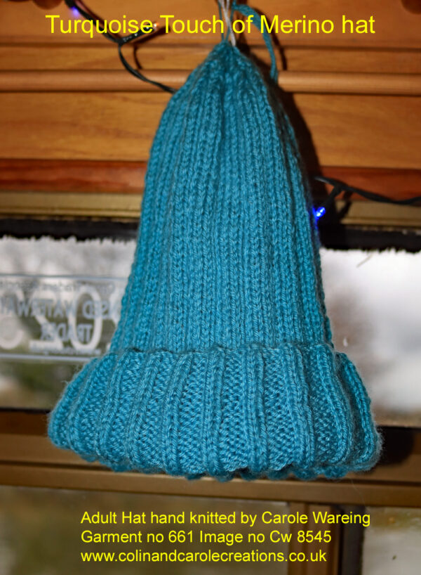 Adults hat with a touch of Merino in the acrylic yarn hand knitted by Carole Wareing of “Colour by Carole” Adult Hat hand knitted by Carole Wareing of The Wool Boat and Colin and Carole’s Creations Description – A Adults sized hat knitted from a lovely soft yarn that has a touch of merino wool in it. A turquoise shade with a ribbed stitch. Fully machine washable. Size - To fit average adult head Colour – Turquoise
