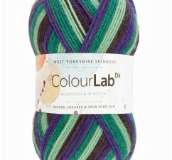 West Yorkshire Spinners Colourlab DK Yarn Available in a range of impactful colours. This is shade 892 in a shades of blues