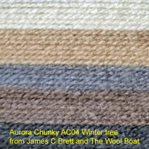 Aurora Chunky AC04 Winter tree from James C Brett and The Wool Boat 