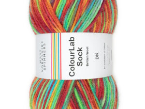 West Yorkshire Spinners Colourlab sock DK Yarn Available in a range of impactful colours. This is shade 1202 named Pop, in shades of the rainbow.